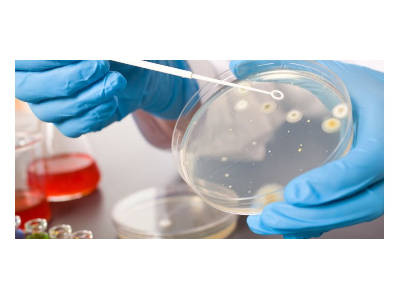 Microbiology Laboratory